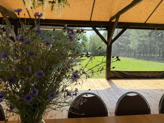 Widok z altany na łąkę i las